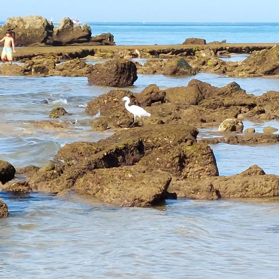 Paradise In Olhos D'Agua Beach Albufeira Buitenkant foto
