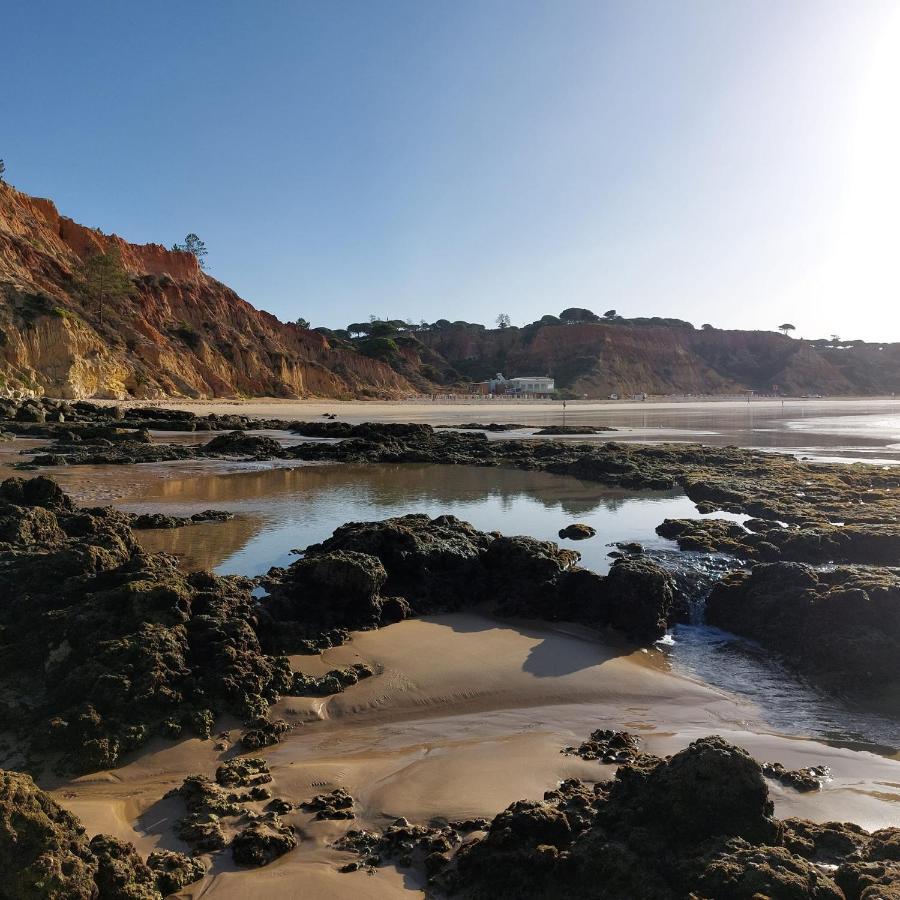 Paradise In Olhos D'Agua Beach Albufeira Buitenkant foto
